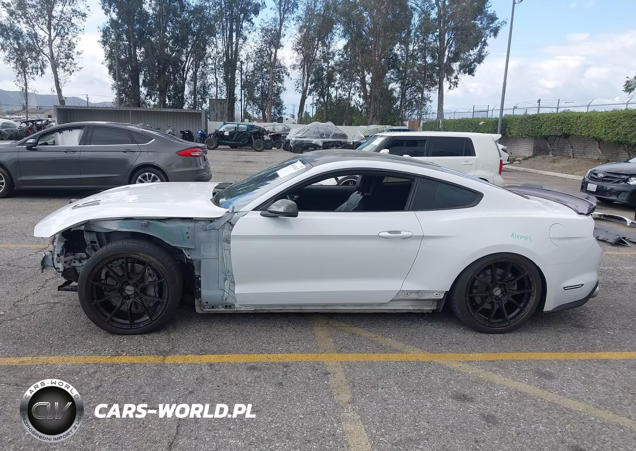 2019 Ford Mustang Gt Premium VIN:1FA6P8CF1K5186387 - 15