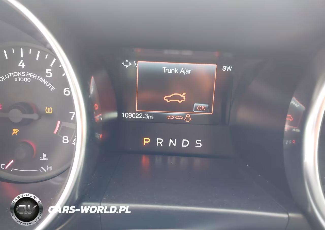 2019 Ford Mustang Gt Premium VIN:1FA6P8CF1K5186387 - 16