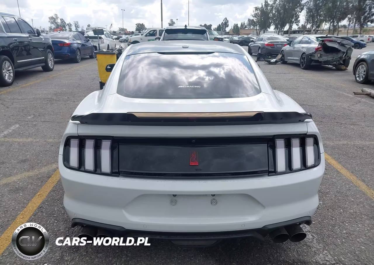 2019 Ford Mustang Gt Premium VIN:1FA6P8CF1K5186387 - 17