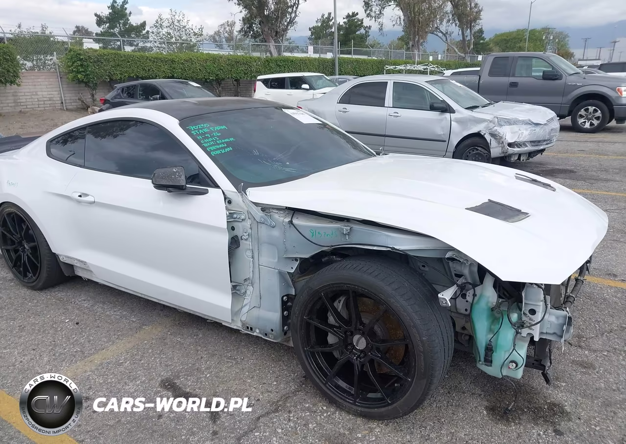 2019 Ford Mustang Gt Premium VIN:1FA6P8CF1K5186387 - 18