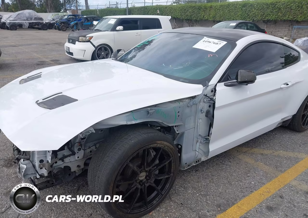 2019 Ford Mustang Gt Premium VIN:1FA6P8CF1K5186387 - 19
