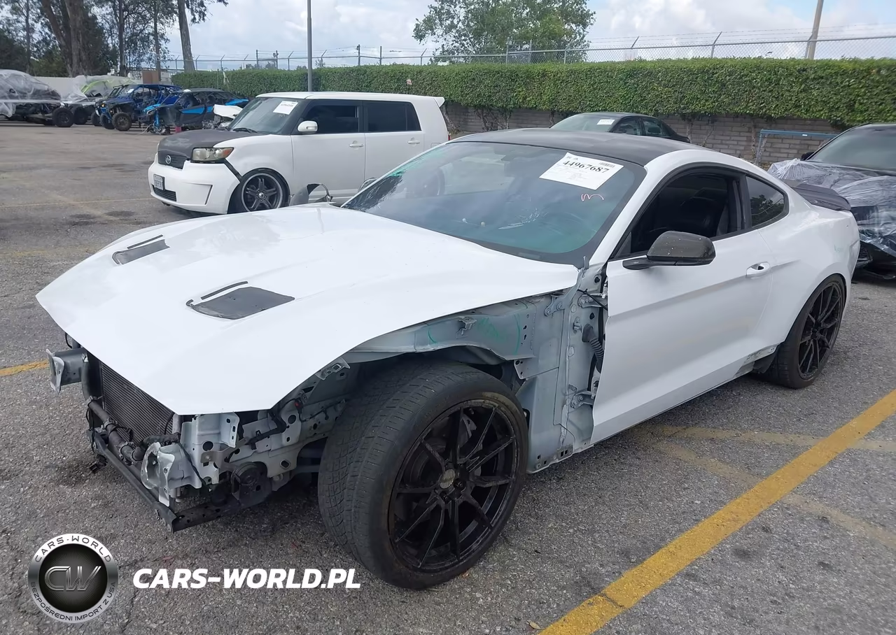 2019 Ford Mustang Gt Premium VIN:1FA6P8CF1K5186387 - 2
