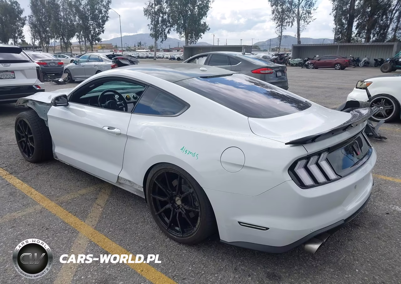 2019 Ford Mustang Gt Premium VIN:1FA6P8CF1K5186387 - 3