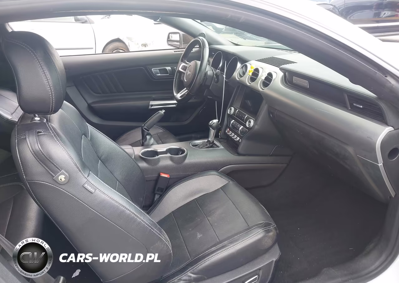 2019 Ford Mustang Gt Premium VIN:1FA6P8CF1K5186387 - 5