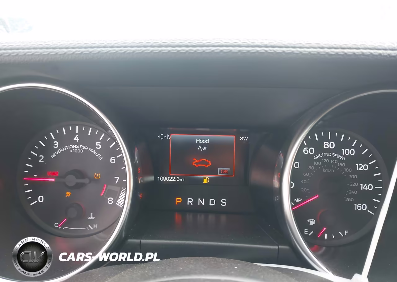 2019 Ford Mustang Gt Premium VIN:1FA6P8CF1K5186387 - 7