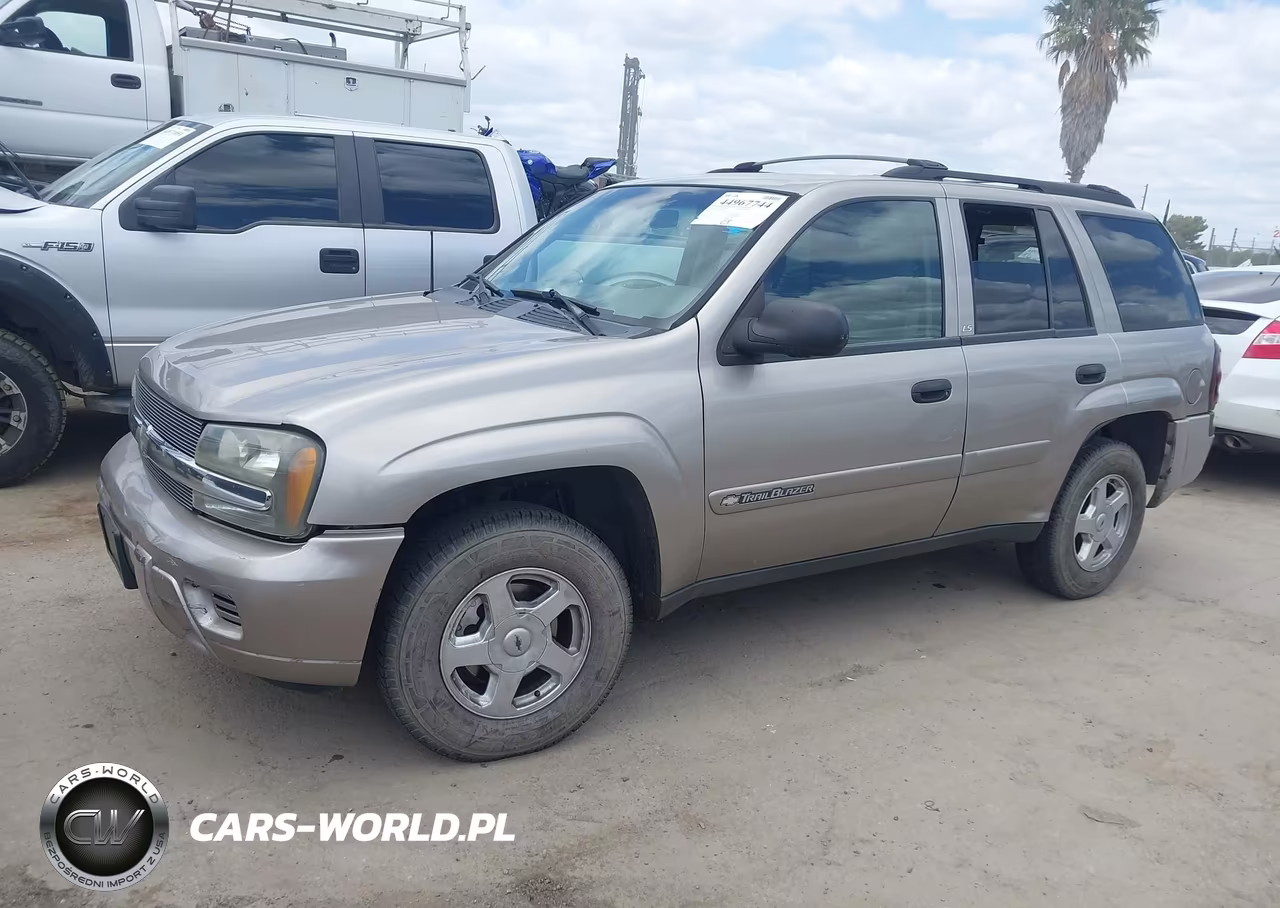 2002 Chevrolet Trailblazer Ls VIN:1GNDS13S422356920 - 2