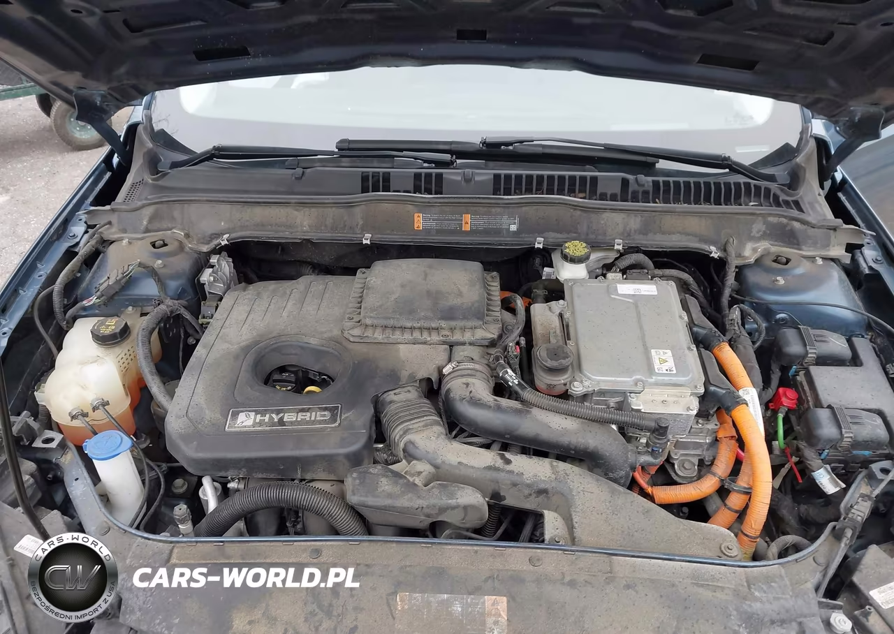 2019 Ford Fusion Hybrid Titanium VIN:3FA6P0RU5KR273178 - 10