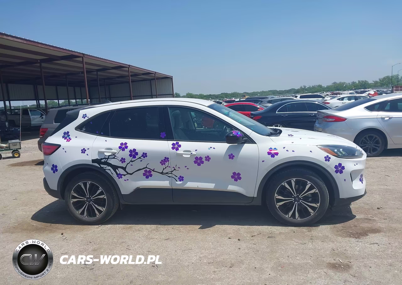 2021 Ford Escape Se Hybrid VIN:1FMCU0BZ4MUA26818 - 13