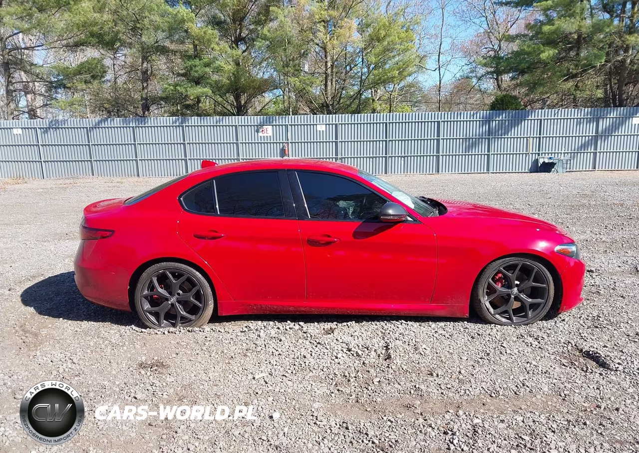 2020 Alfa Romeo Giulia Rwd VIN:ZARFAMAN4L7635961 - 13