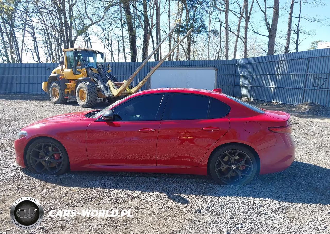 2020 Alfa Romeo Giulia Rwd VIN:ZARFAMAN4L7635961 - 14