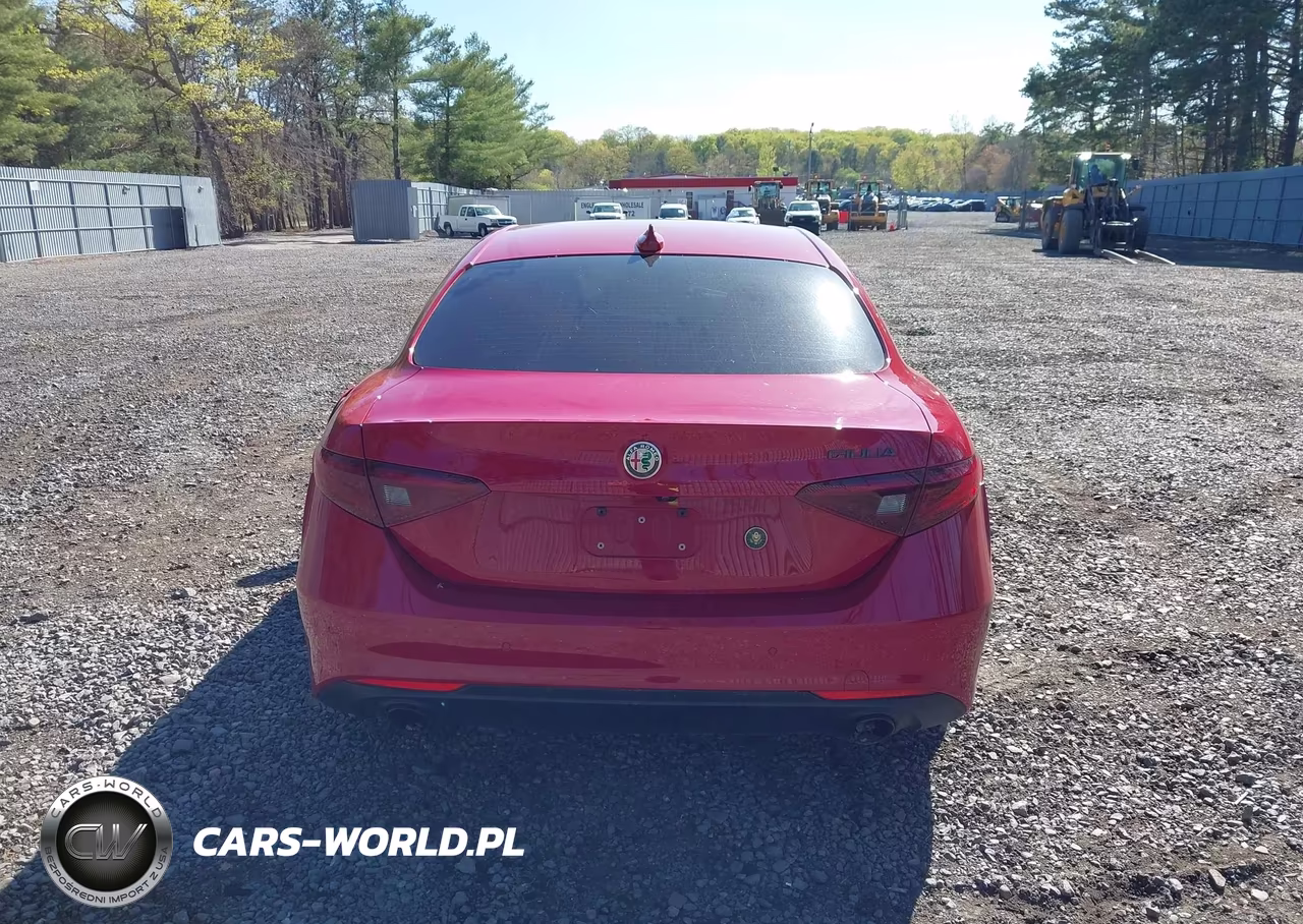 2020 Alfa Romeo Giulia Rwd VIN:ZARFAMAN4L7635961 - 16