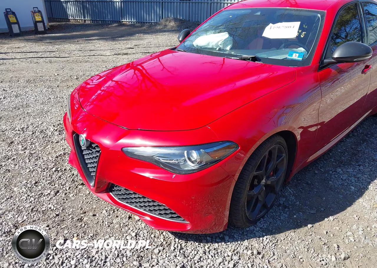 2020 Alfa Romeo Giulia Rwd VIN:ZARFAMAN4L7635961 - 17
