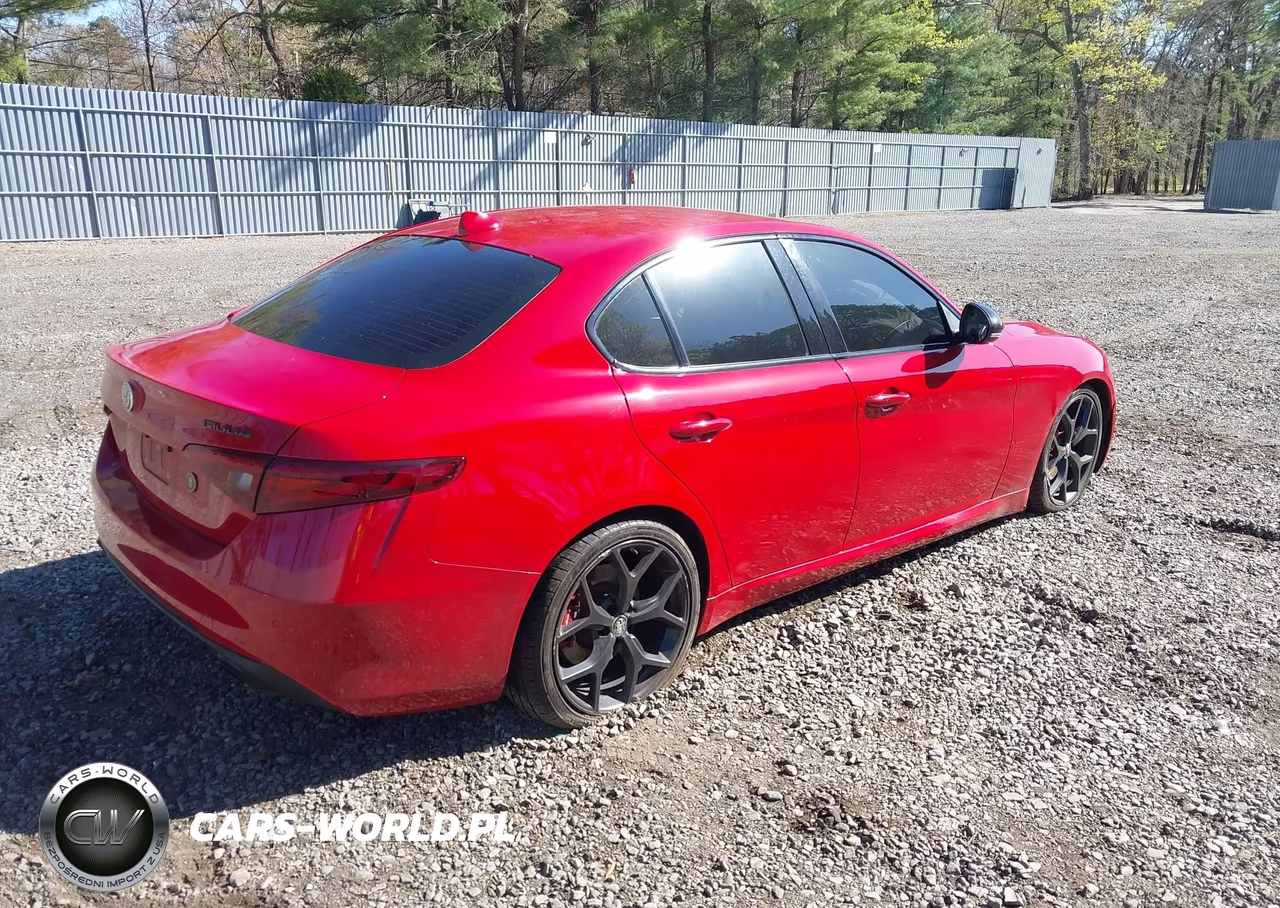 2020 Alfa Romeo Giulia Rwd VIN:ZARFAMAN4L7635961 - 4