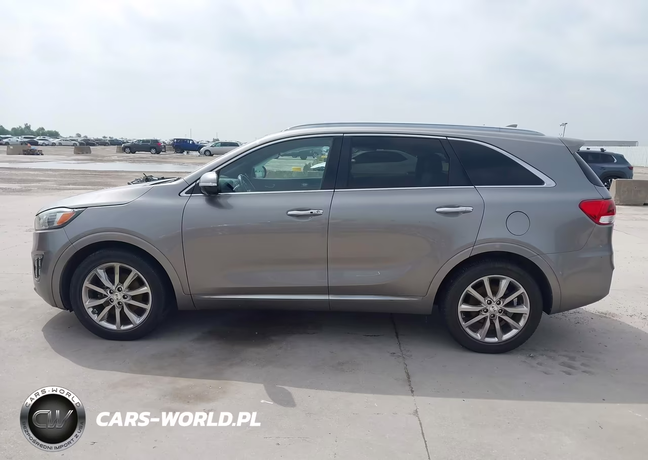 2017 Kia Sorento 3.3L Sxl VIN:5XYPK4A50HG294872 - 14