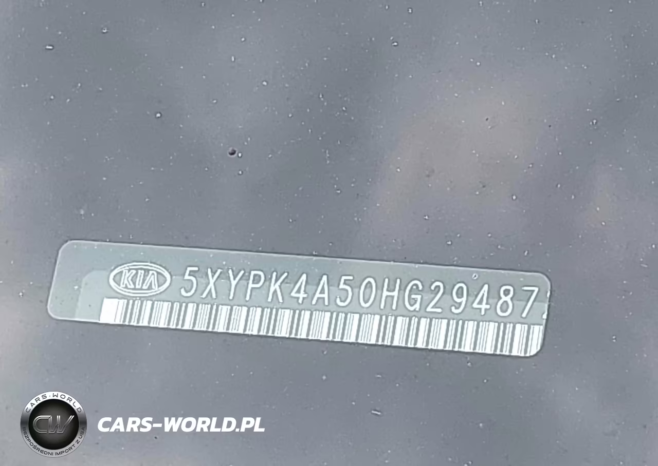 2017 Kia Sorento 3.3L Sxl VIN:5XYPK4A50HG294872 - 17