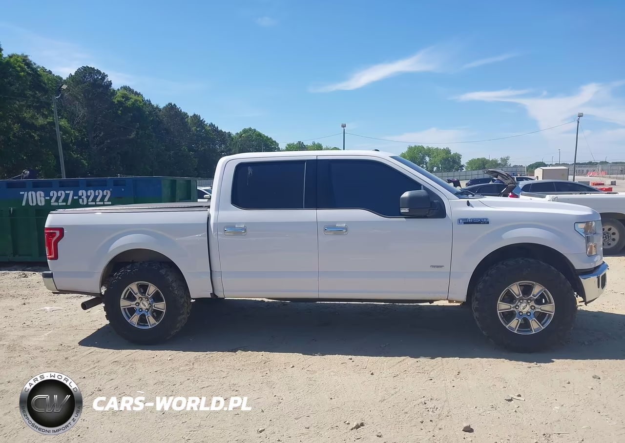 2015 Ford F-150 Xlt VIN:1FTEW1CP8FKE96570 - 13
