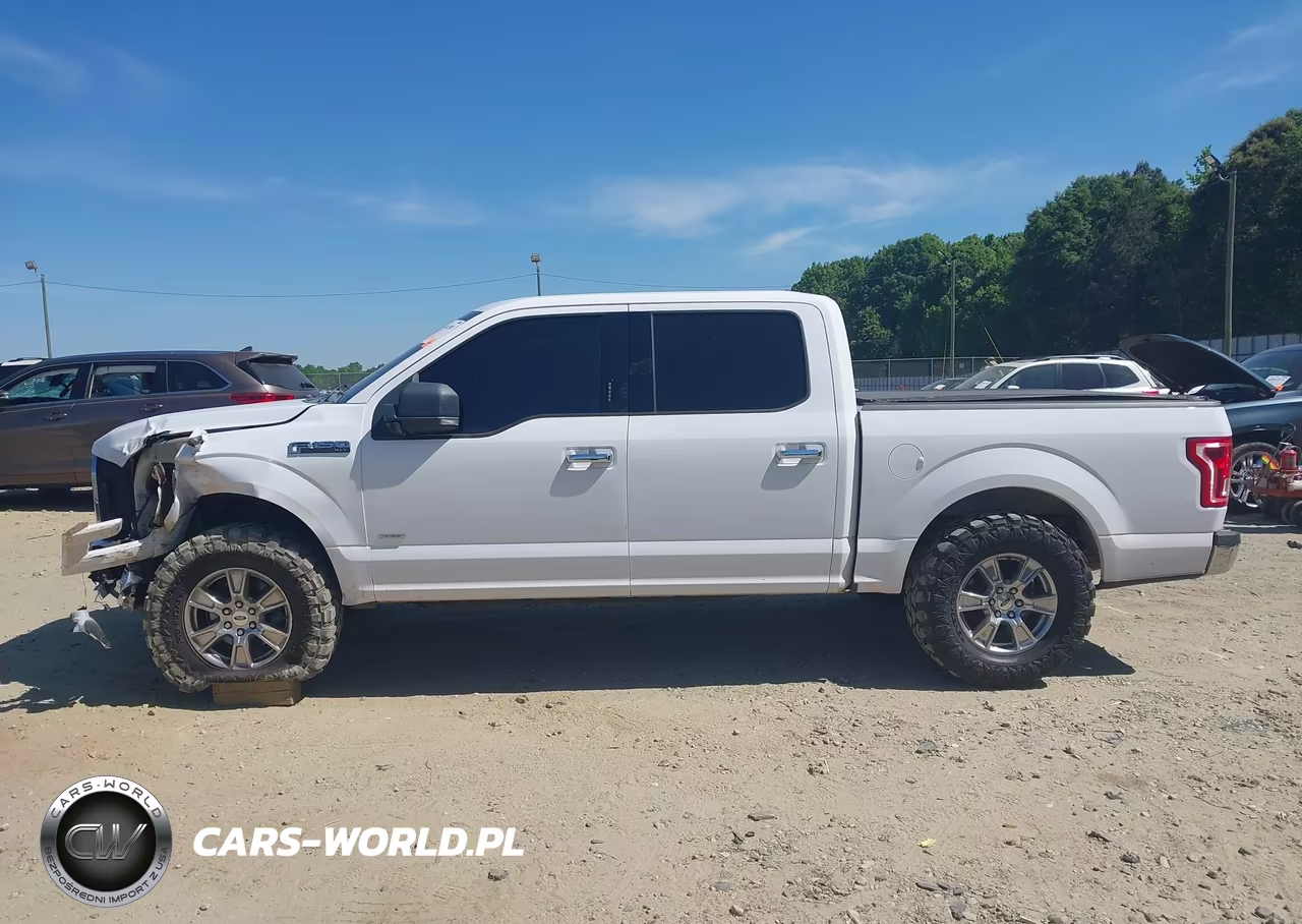 2015 Ford F-150 Xlt VIN:1FTEW1CP8FKE96570 - 14