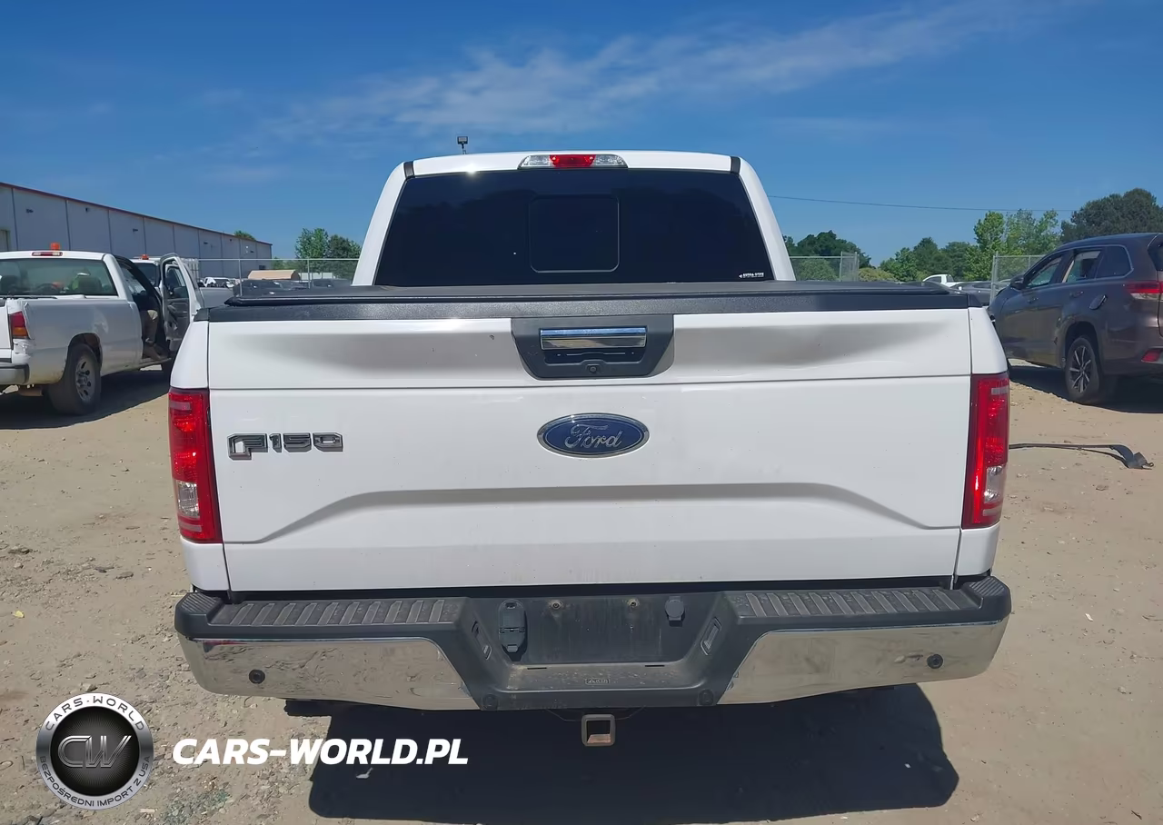 2015 Ford F-150 Xlt VIN:1FTEW1CP8FKE96570 - 16