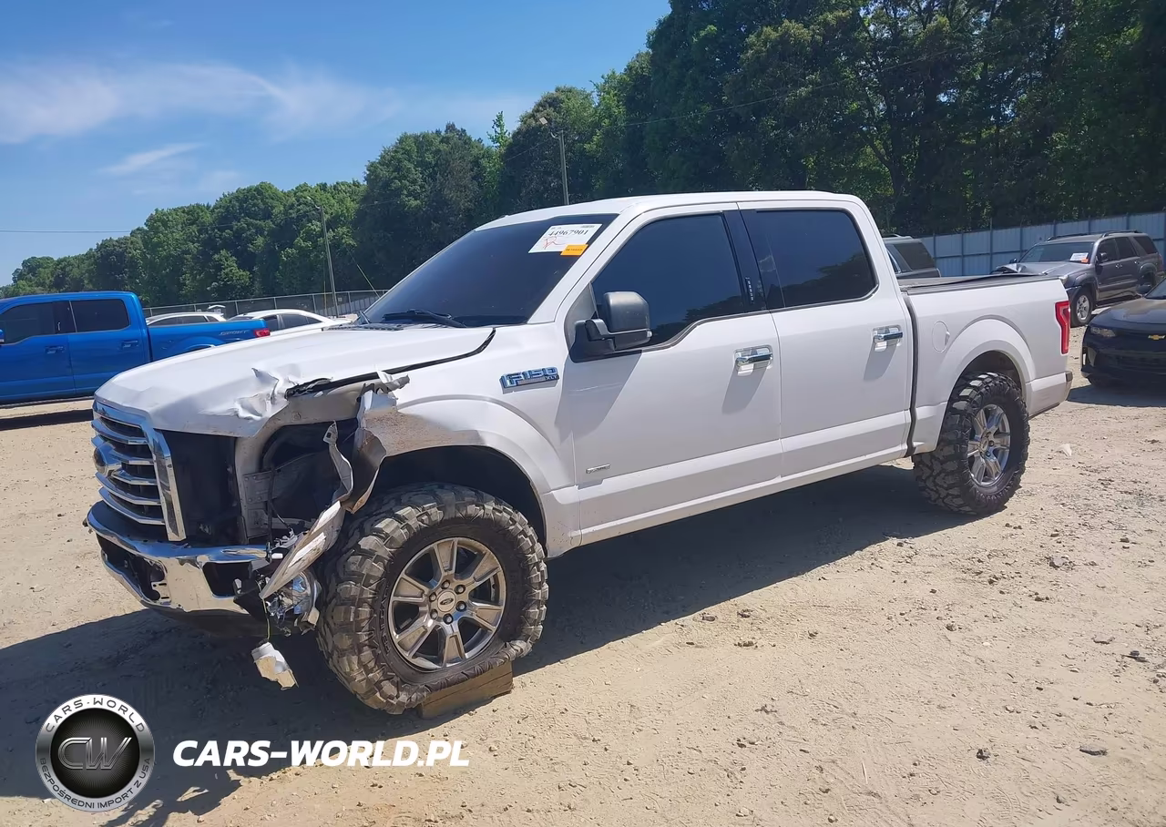 2015 Ford F-150 Xlt VIN:1FTEW1CP8FKE96570 - 2