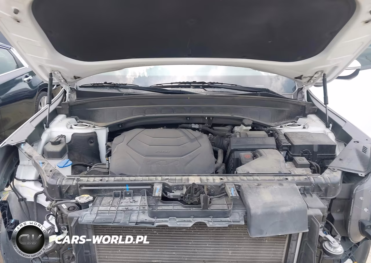 2023 Kia Telluride Ex X-Line VIN:5XYP3DGC7PG346483 - 10