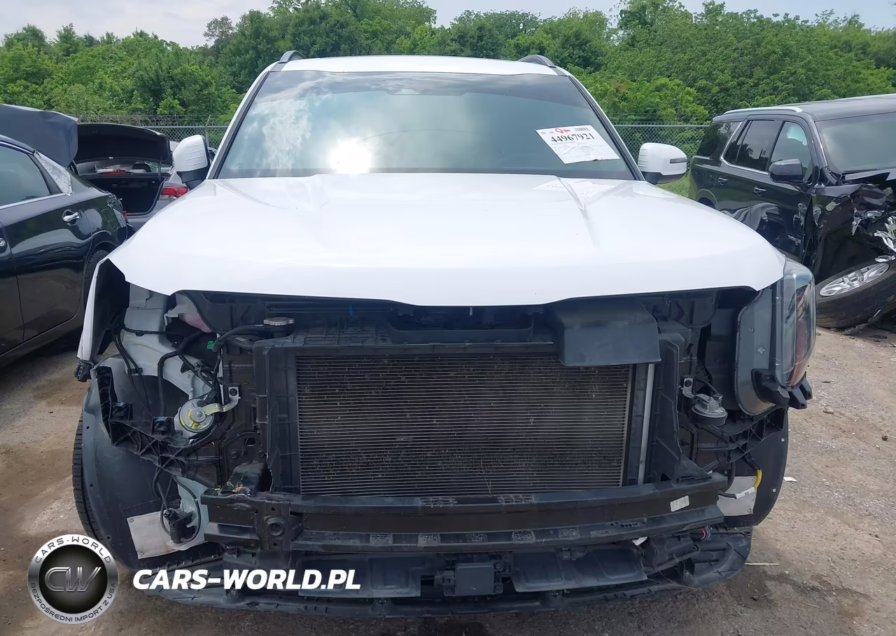2023 Kia Telluride Ex X-Line VIN:5XYP3DGC7PG346483 - 13