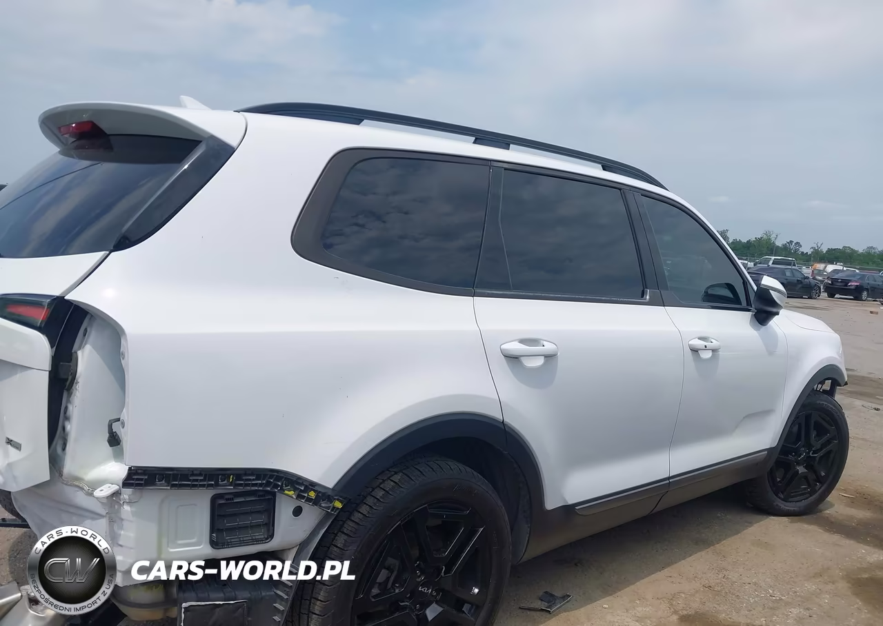 2023 Kia Telluride Ex X-Line VIN:5XYP3DGC7PG346483 - 14