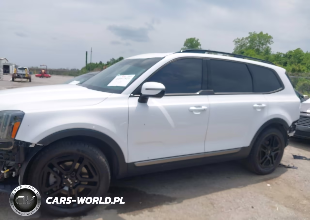 2023 Kia Telluride Ex X-Line VIN:5XYP3DGC7PG346483 - 15