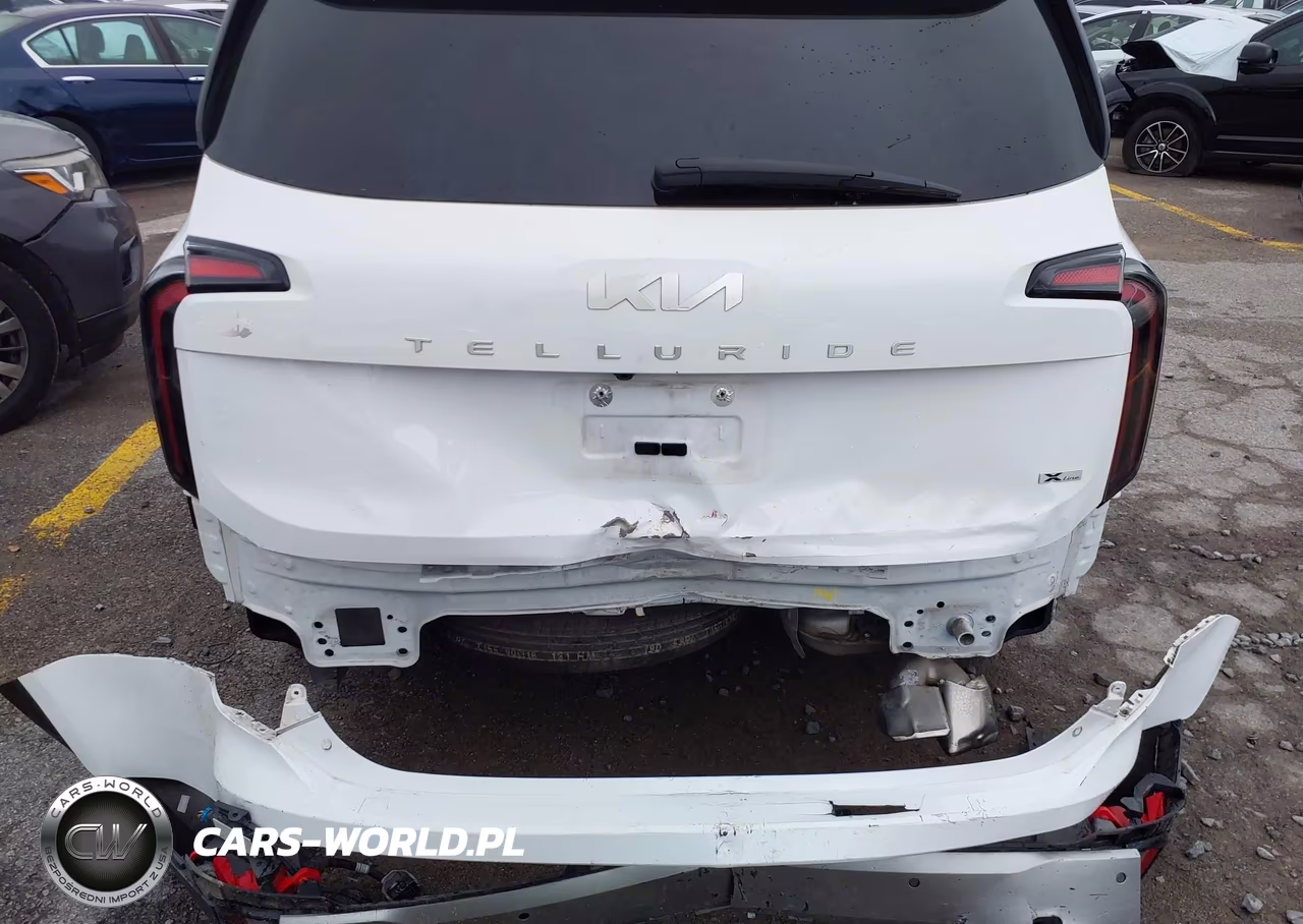 2023 Kia Telluride Ex X-Line VIN:5XYP3DGC7PG346483 - 17