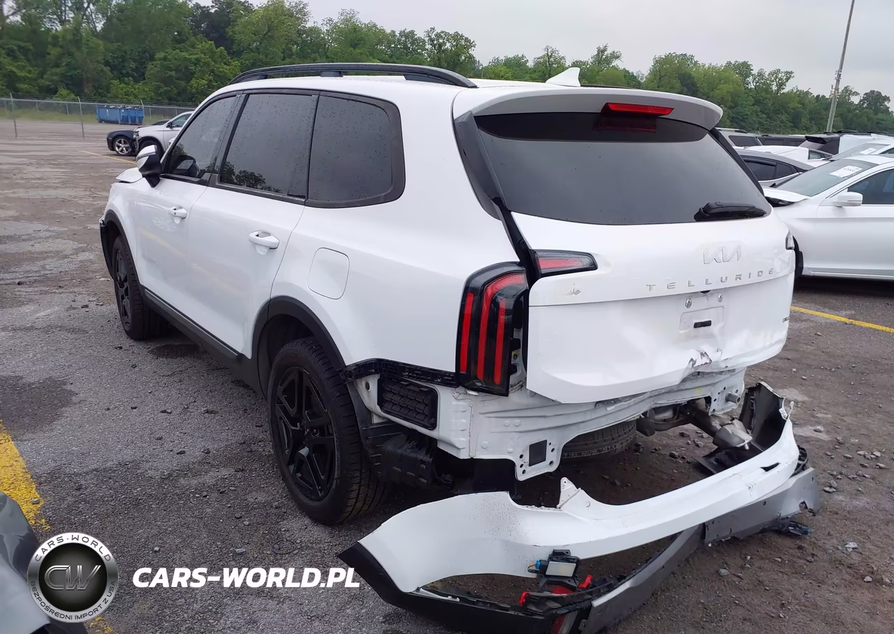 2023 Kia Telluride Ex X-Line VIN:5XYP3DGC7PG346483 - 3