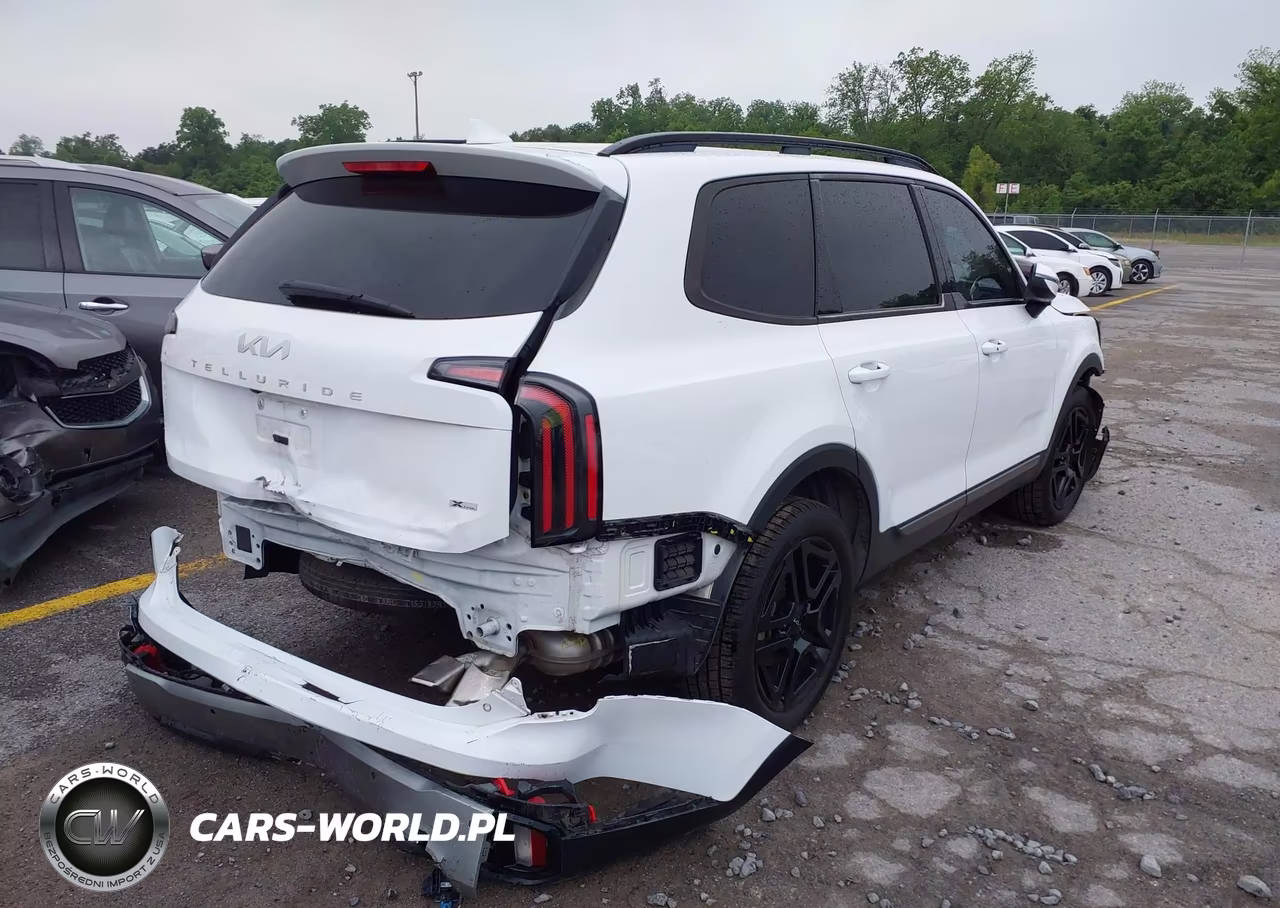 2023 Kia Telluride Ex X-Line VIN:5XYP3DGC7PG346483 - 4