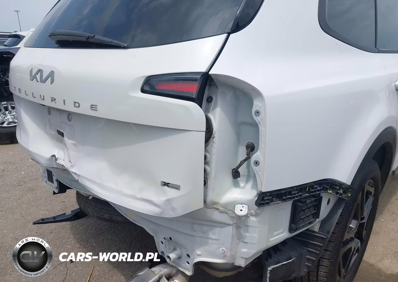 2023 Kia Telluride Ex X-Line VIN:5XYP3DGC7PG346483 - 6