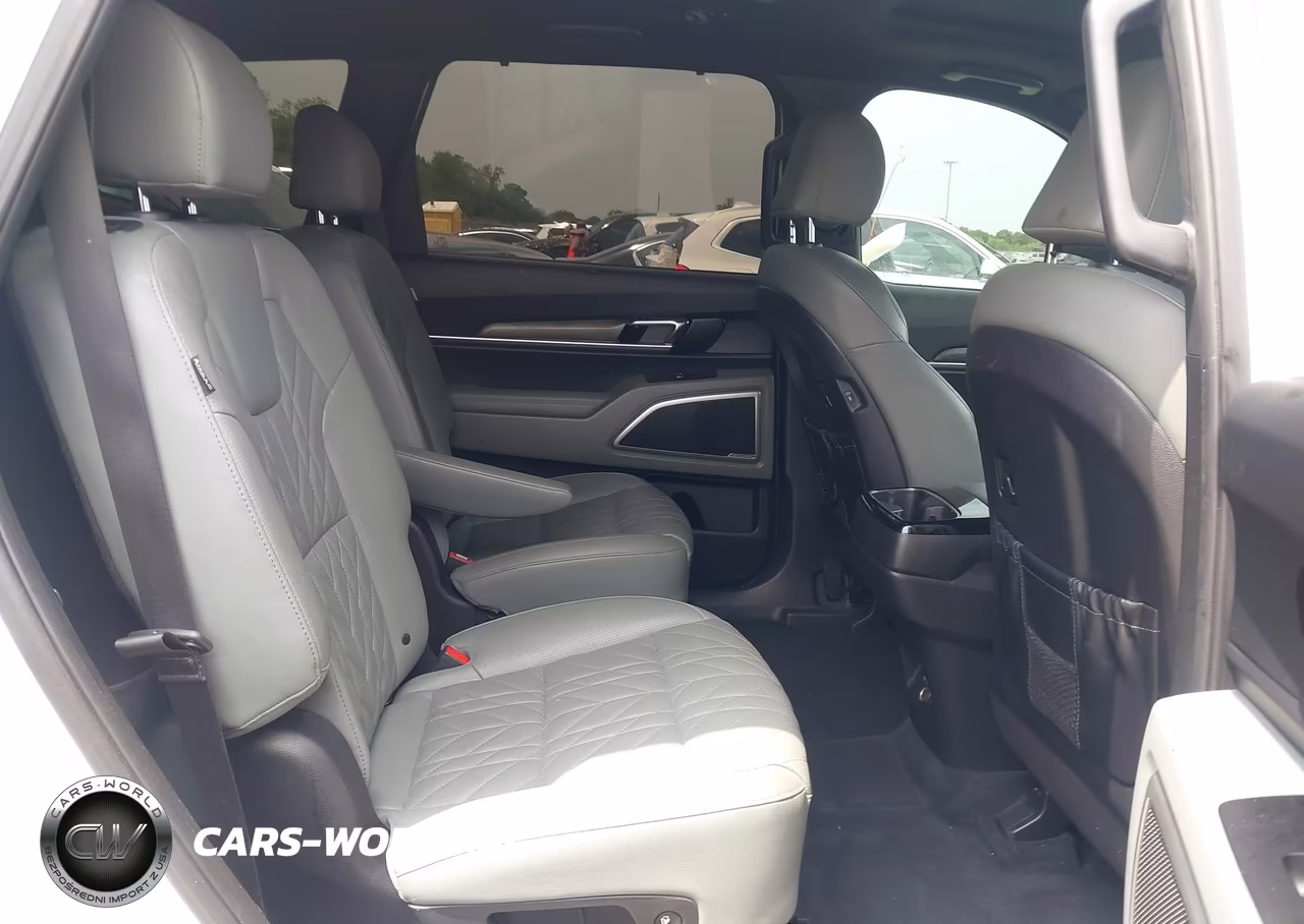 2023 Kia Telluride Ex X-Line VIN:5XYP3DGC7PG346483 - 8