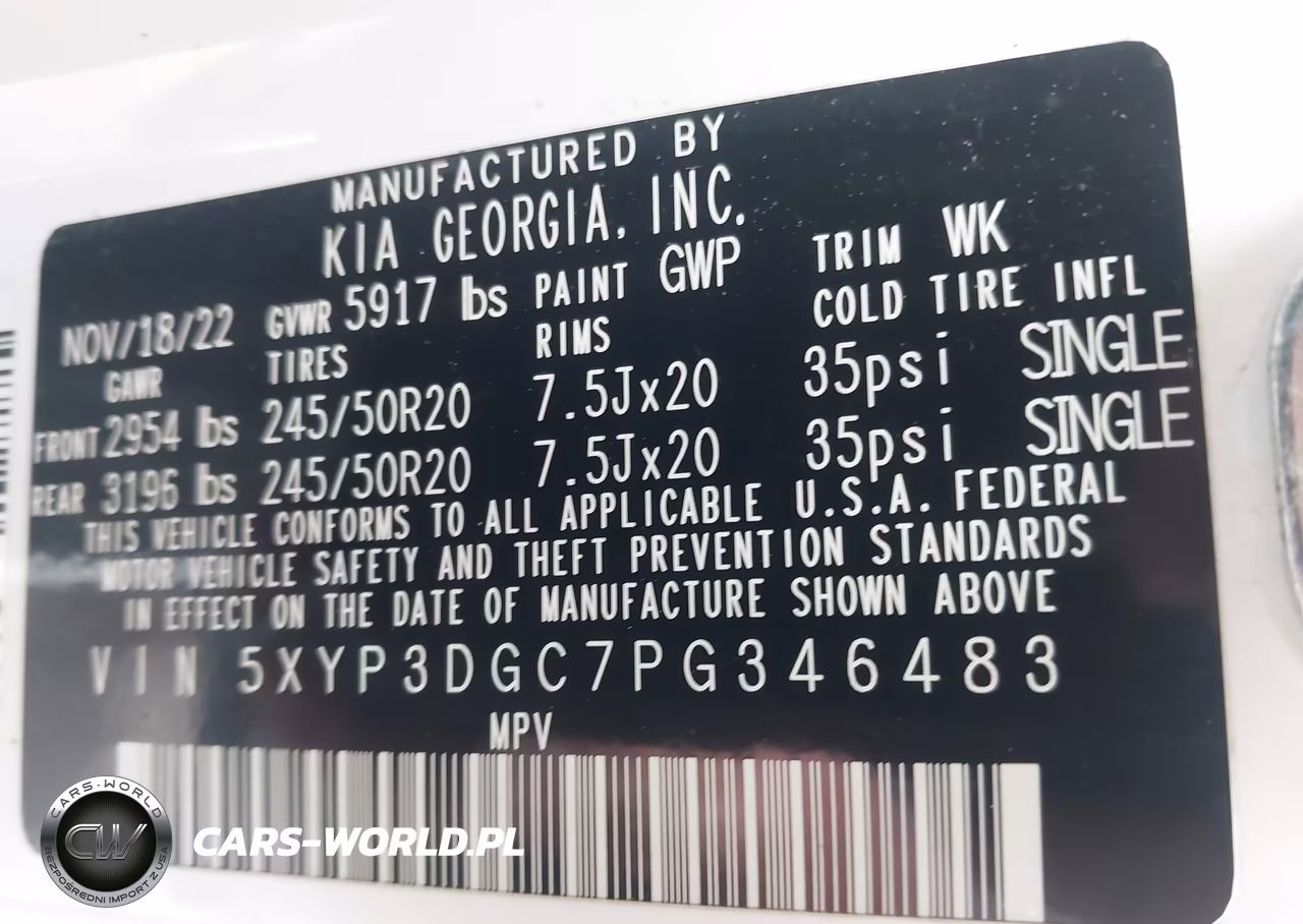 2023 Kia Telluride Ex X-Line VIN:5XYP3DGC7PG346483 - 9