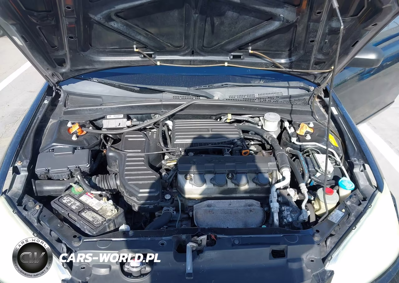2004 Honda Civic Ex VIN:1HGEM22964L019479 - 10