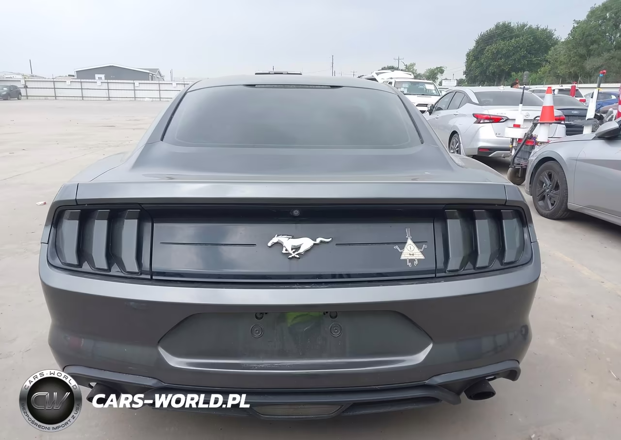 2018 Ford Mustang Ecoboost VIN:1FA6P8TH9J5126762 - 16
