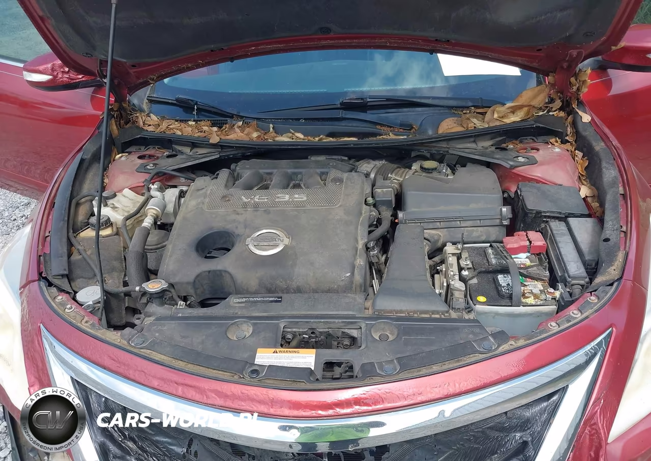 2014 Nissan Altima 3.5 Sl VIN:1N4BL3AP3EC901159 - 10