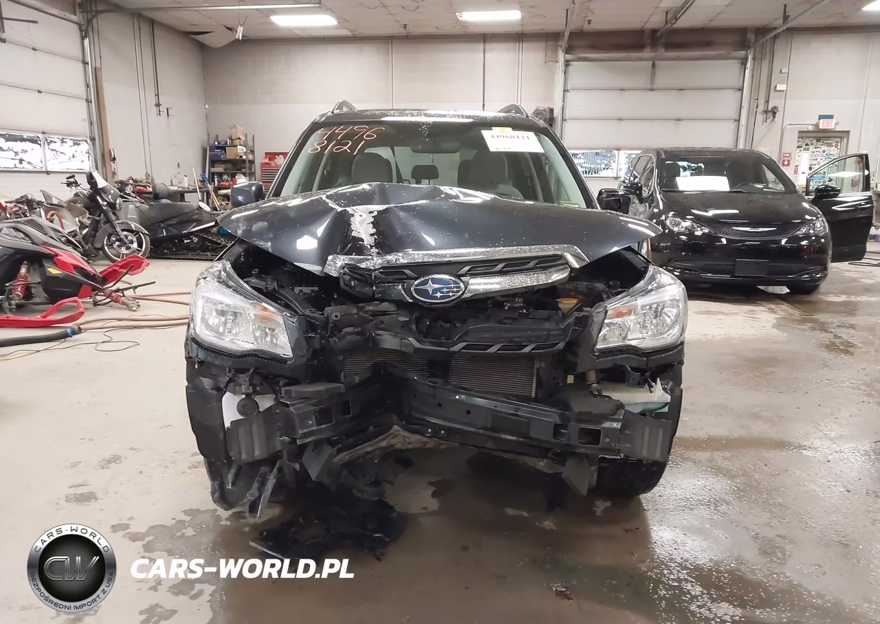 2017 Subaru Forester 2.5I Premium VIN:JF2SJAEC3HH426973 - 12