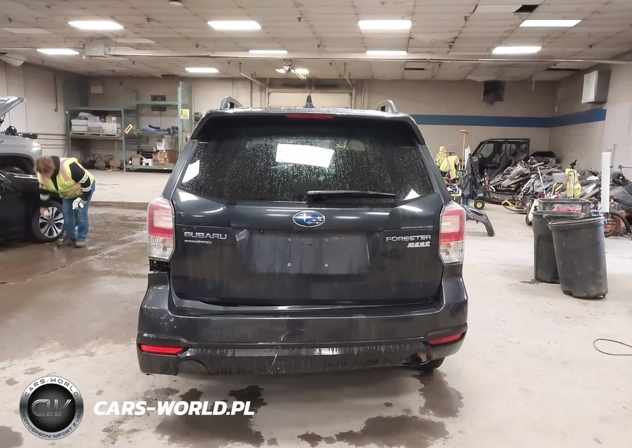 2017 Subaru Forester 2.5I Premium VIN:JF2SJAEC3HH426973 - 16