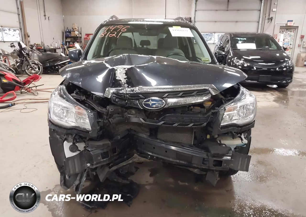 2017 Subaru Forester 2.5I Premium VIN:JF2SJAEC3HH426973 - 6