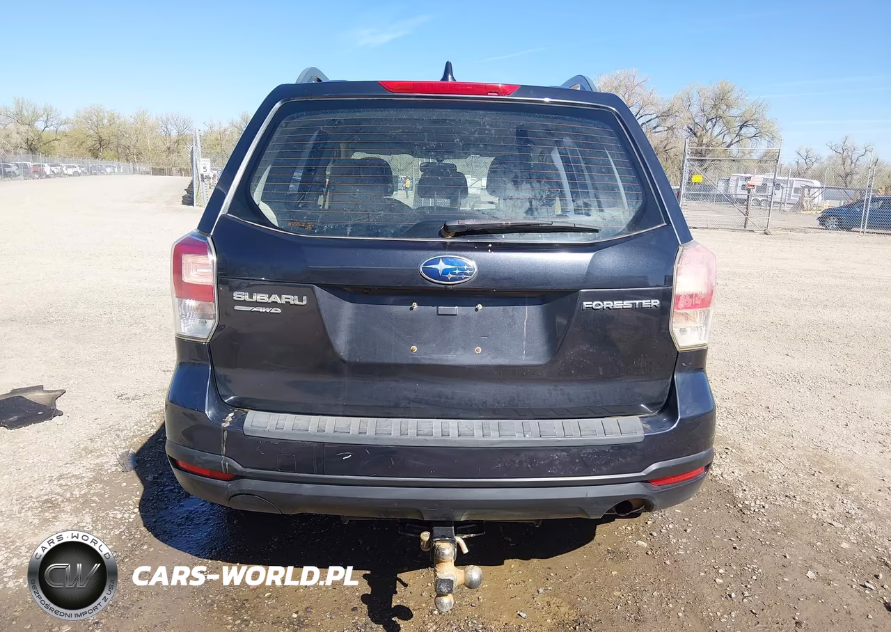 2018 Subaru Forester 2.5I VIN:JF2SJABC0JH600847 - 17