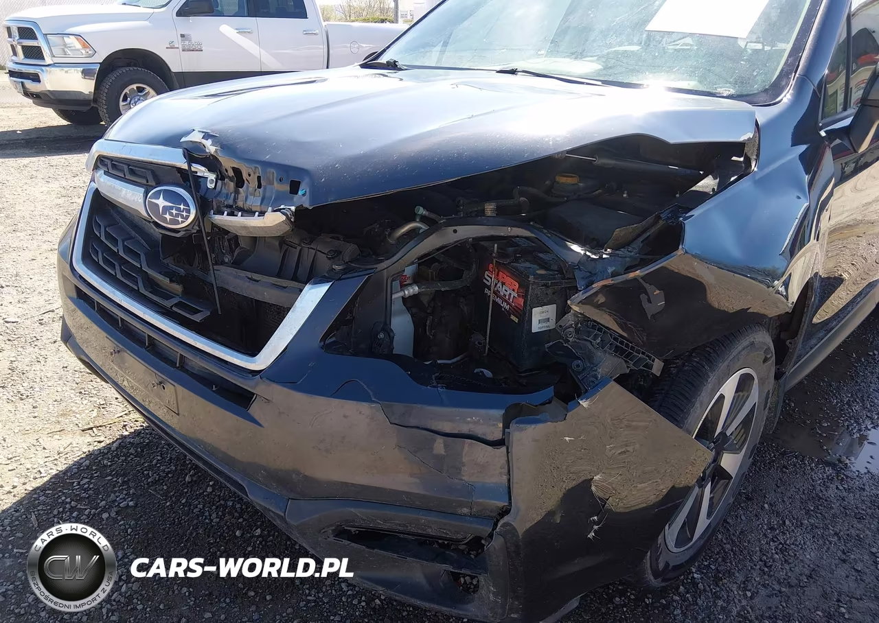 2018 Subaru Forester 2.5I VIN:JF2SJABC0JH600847 - 6
