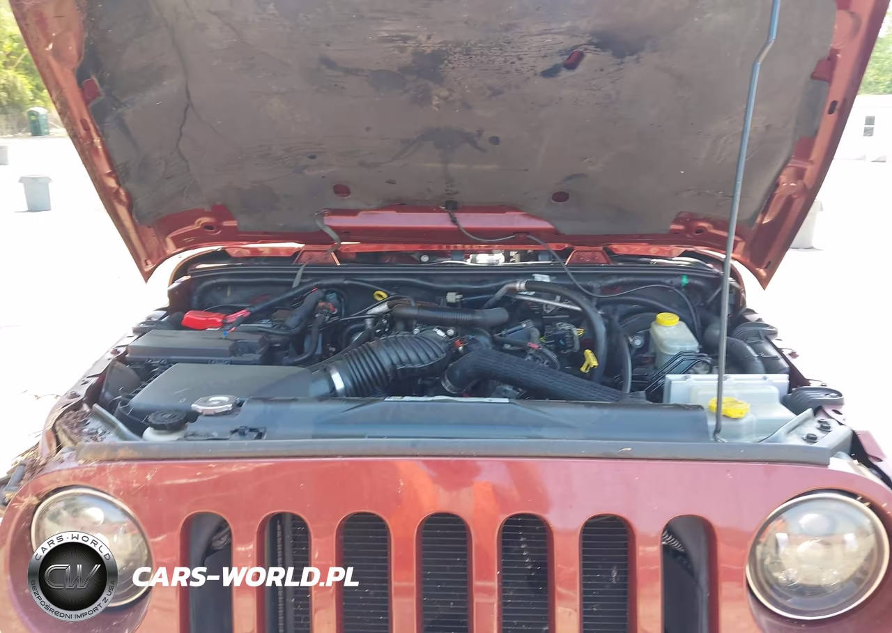 2009 Jeep Wrangler Unlimited X VIN:1J4GA39119L738971 - 10