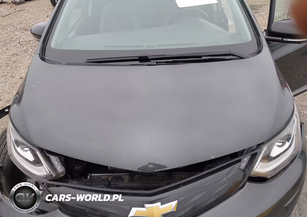 2017 Chevrolet Bolt Ev Premier VIN:1G1FX6S0XH4179134 - 10