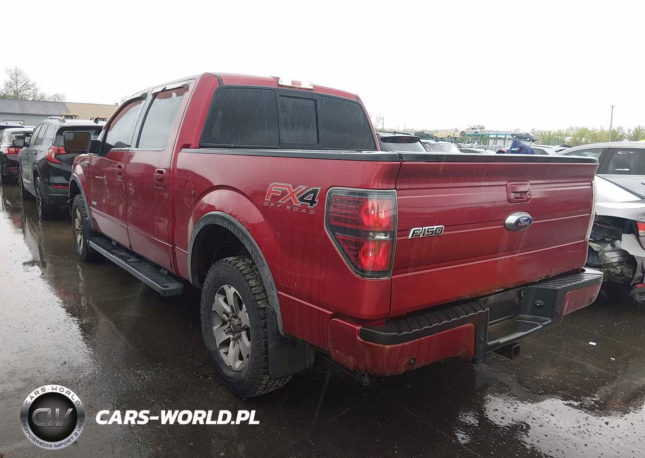 2013 Ford F-150 Fx4 VIN:1FTFW1ET3DKF75009 - 3