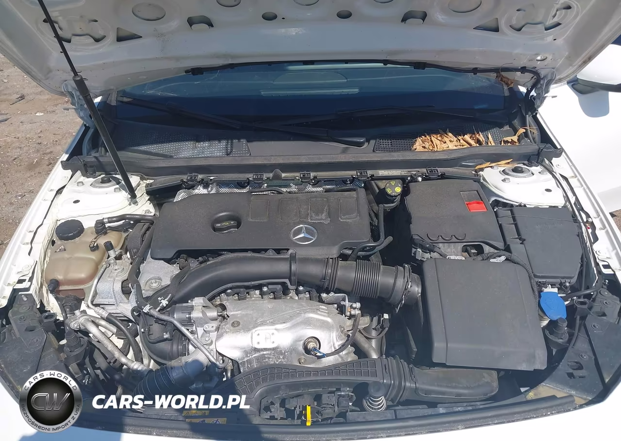 2019 Mercedes-Benz A 220 VIN:WDD3G4EB7KW035909 - 10