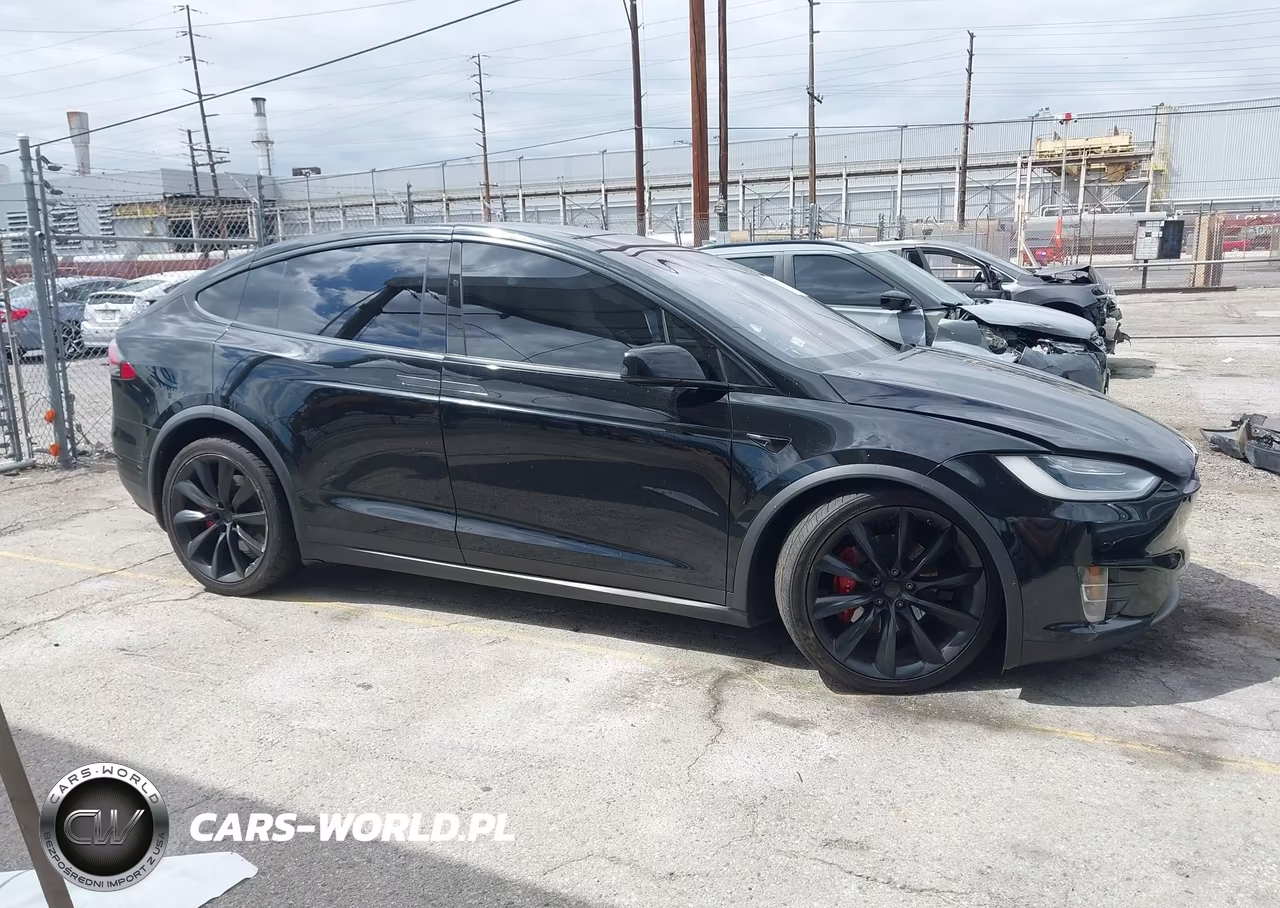 2018 Tesla Model X 100D-75D-P100D VIN:5YJXCBE21JF142808 - 13