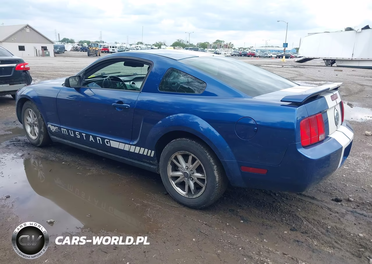 2007 Ford Mustang V6 Deluxe-V6 Premium VIN:1ZVFT80NX75201829 - 3