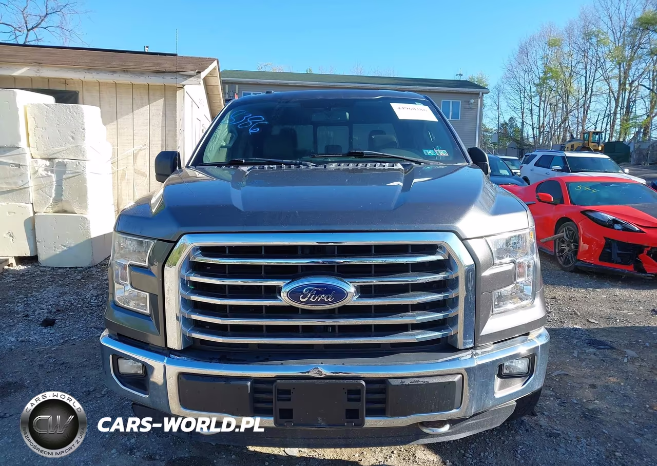 2015 Ford F-150 Xlt VIN:1FTEW1EFXFFA86169 - 12
