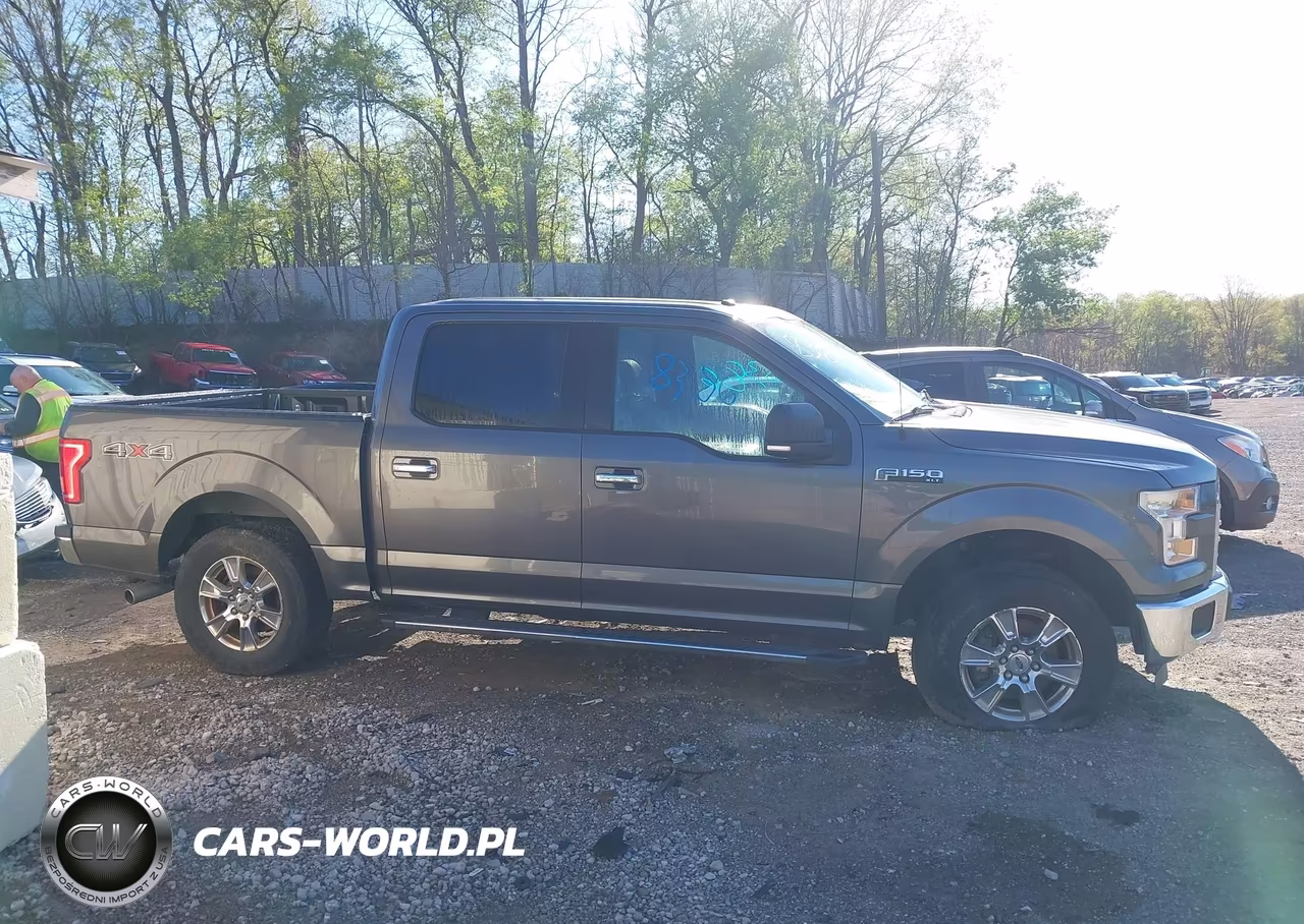 2015 Ford F-150 Xlt VIN:1FTEW1EFXFFA86169 - 13