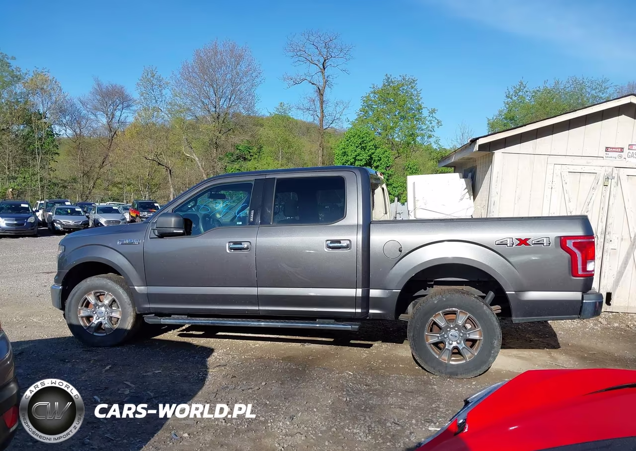 2015 Ford F-150 Xlt VIN:1FTEW1EFXFFA86169 - 14